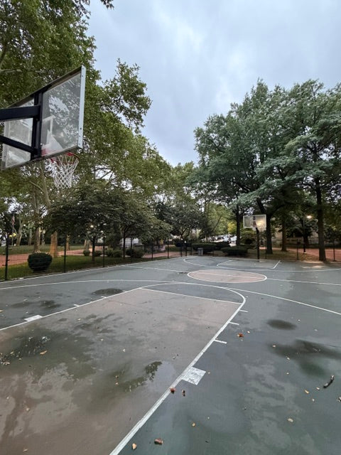 Our City, Then and Now